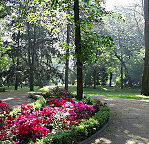 Blumenbeet im Schlosspark